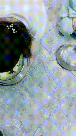 慕田夫妻主惩戒犯错双女奴狗盆进食比赛