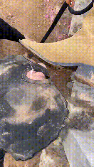 00000星染户外泥地清理鞋底