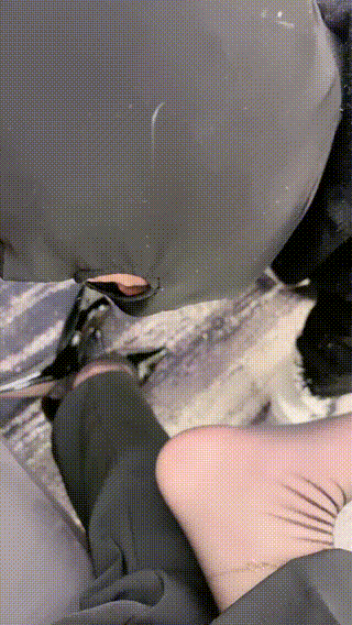 风吟S调贱狗黑丝骑马耳光踢裆