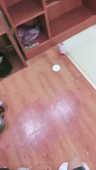 1111九玥S狗舌当擦鞋布踩踏骑马