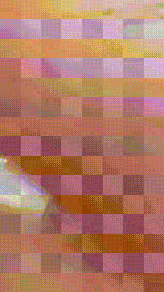 1751906049828_【琳嘉】虐母狗专场-舔鞋_骑脖子_丝足虐脚【88分钟】 - taolusm